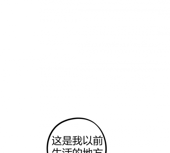 《 夏菲菲的兔子》漫画最新章节第55话免费下拉式在线观看章节第【47】张图片