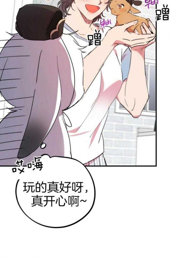 《 夏菲菲的兔子》漫画最新章节第45话免费下拉式在线观看章节第【3】张图片