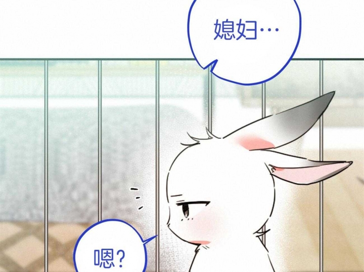 《 夏菲菲的兔子》漫画最新章节第5话免费下拉式在线观看章节第【31】张图片