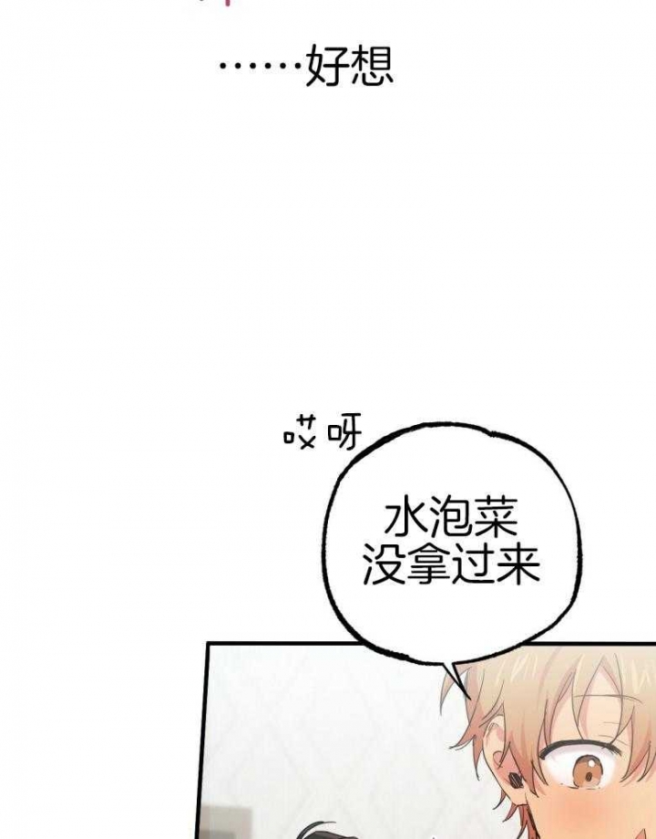 《 夏菲菲的兔子》漫画最新章节第43话免费下拉式在线观看章节第【33】张图片