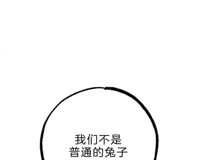 《 夏菲菲的兔子》漫画最新章节第80话免费下拉式在线观看章节第【94】张图片