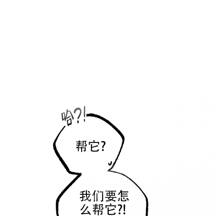 《 夏菲菲的兔子》漫画最新章节第80话免费下拉式在线观看章节第【3】张图片