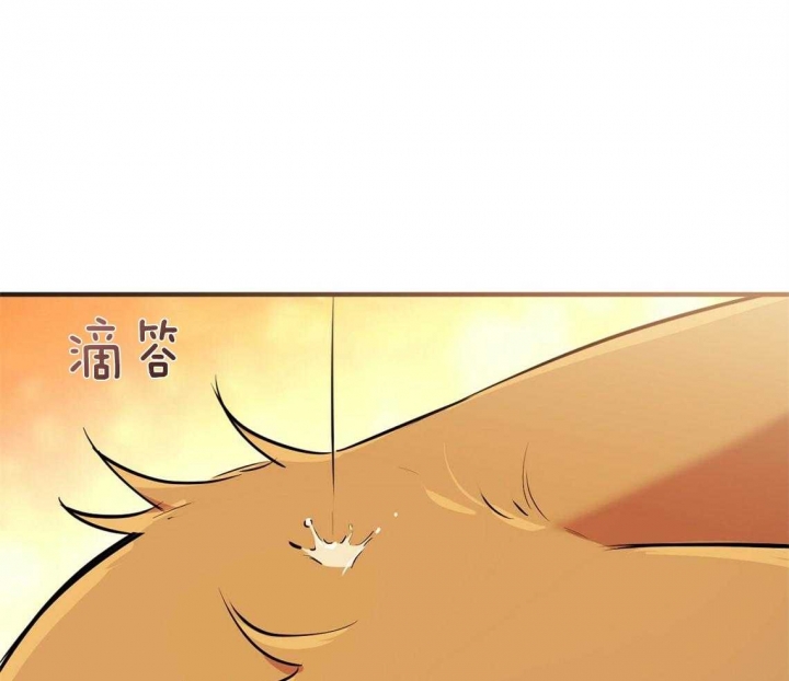 《 夏菲菲的兔子》漫画最新章节第66话免费下拉式在线观看章节第【4】张图片