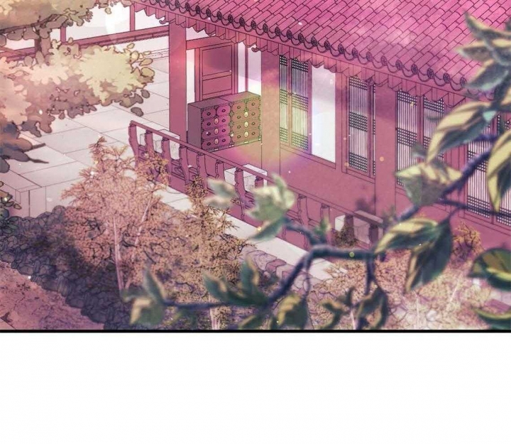 《 夏菲菲的兔子》漫画最新章节第64话免费下拉式在线观看章节第【24】张图片