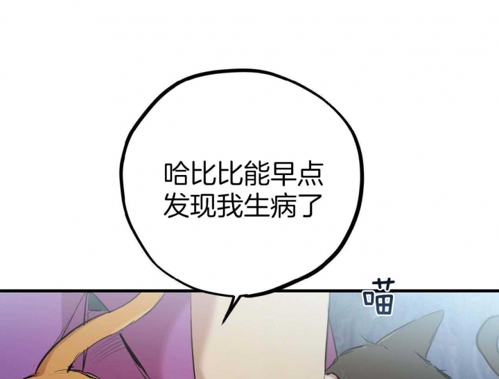 《 夏菲菲的兔子》漫画最新章节第63话免费下拉式在线观看章节第【91】张图片