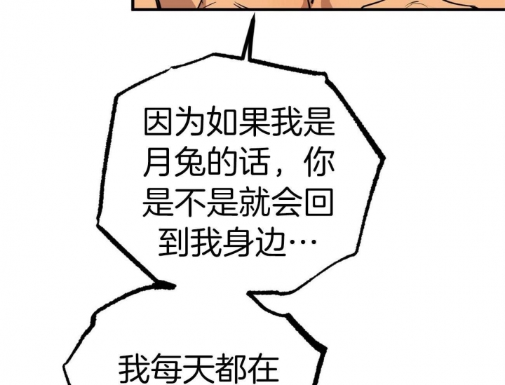 《 夏菲菲的兔子》漫画最新章节第71话免费下拉式在线观看章节第【24】张图片