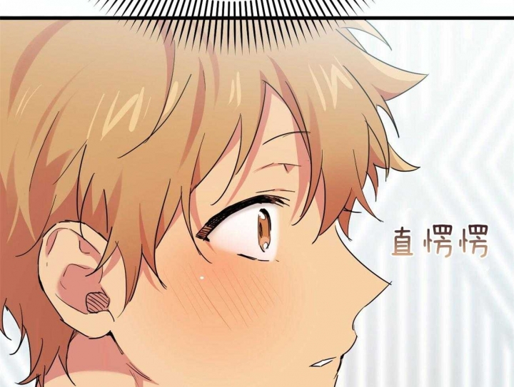 《 夏菲菲的兔子》漫画最新章节第32话免费下拉式在线观看章节第【66】张图片