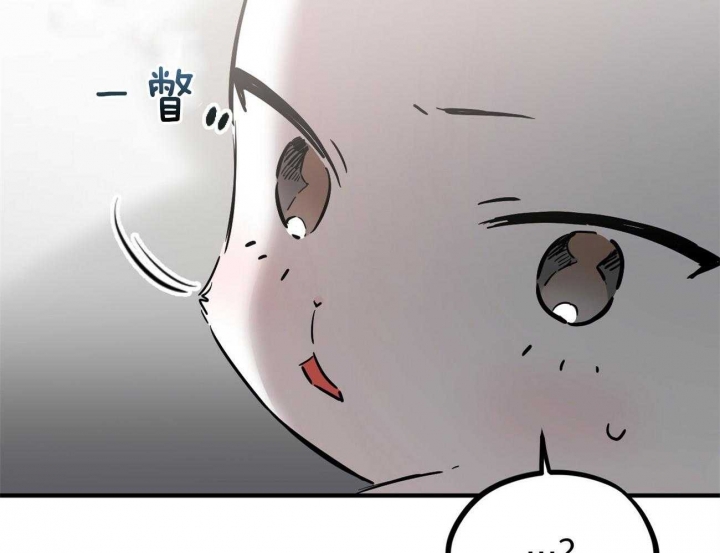 《 夏菲菲的兔子》漫画最新章节第9话免费下拉式在线观看章节第【40】张图片