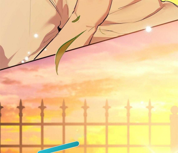 《 夏菲菲的兔子》漫画最新章节第66话免费下拉式在线观看章节第【19】张图片