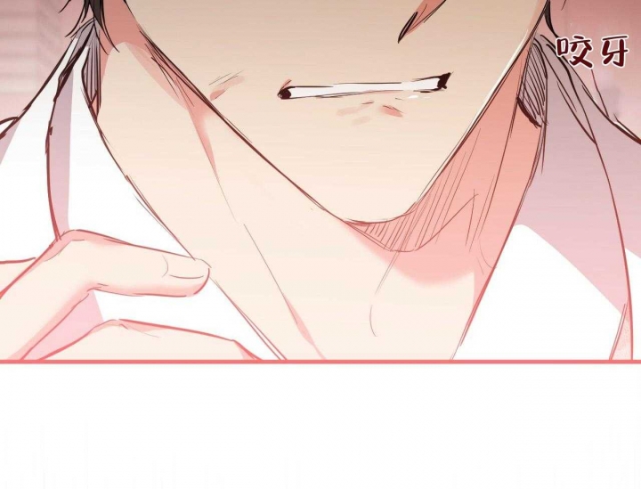 《 夏菲菲的兔子》漫画最新章节第61话免费下拉式在线观看章节第【43】张图片
