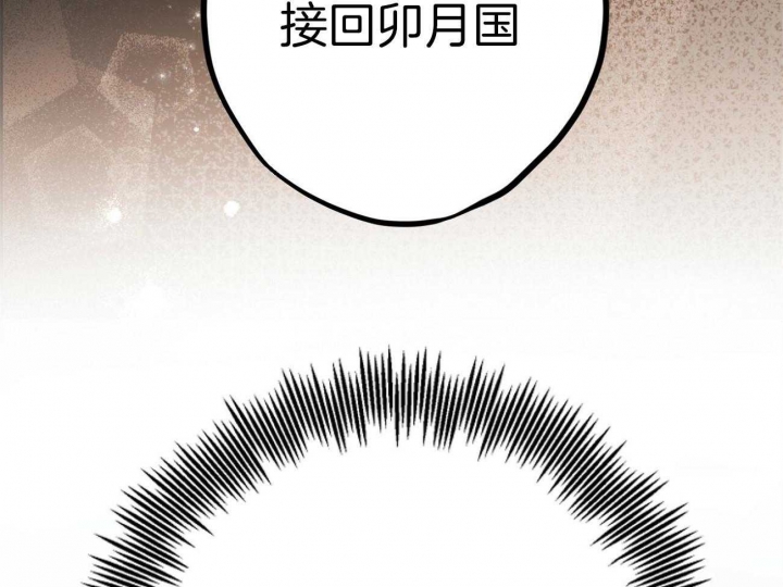 《 夏菲菲的兔子》漫画最新章节第3话免费下拉式在线观看章节第【31】张图片