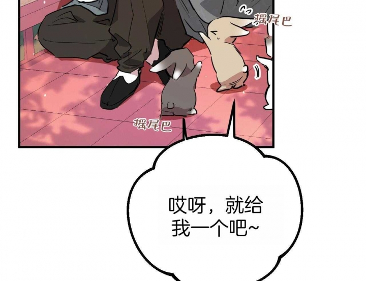 《 夏菲菲的兔子》漫画最新章节第59话免费下拉式在线观看章节第【10】张图片