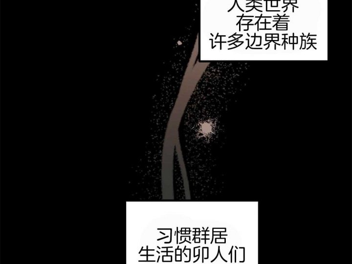 《 夏菲菲的兔子》漫画最新章节第2话免费下拉式在线观看章节第【22】张图片