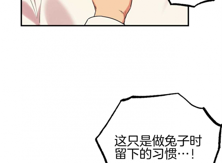 《 夏菲菲的兔子》漫画最新章节第20话免费下拉式在线观看章节第【72】张图片