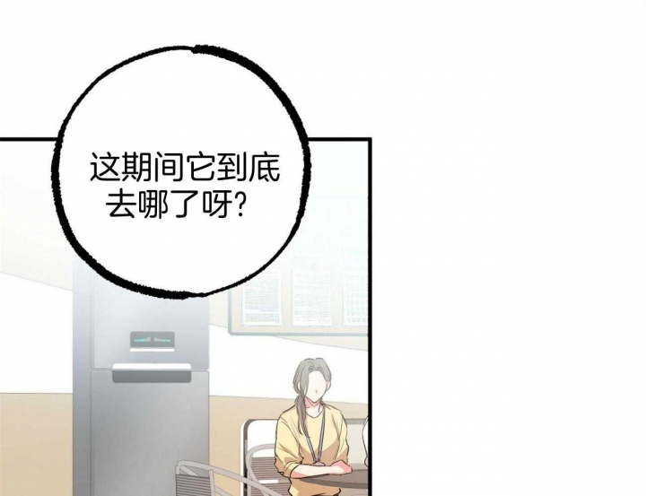 《 夏菲菲的兔子》漫画最新章节第74话免费下拉式在线观看章节第【45】张图片