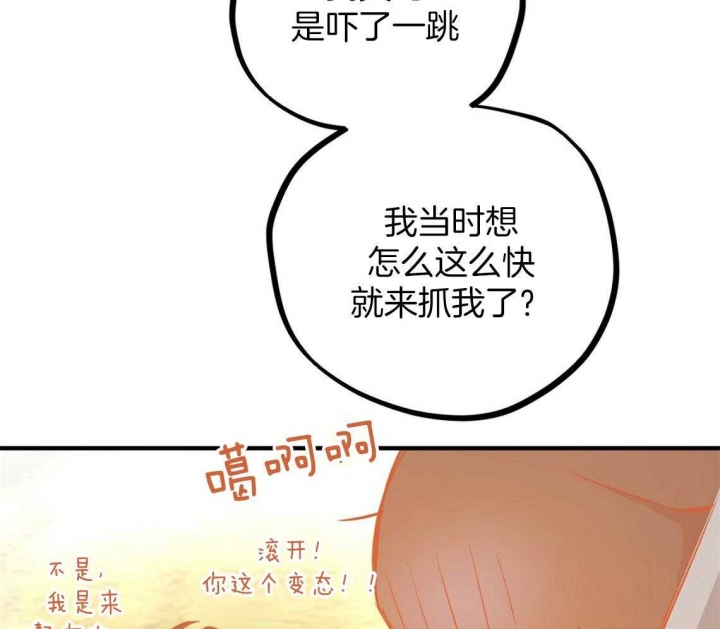 《 夏菲菲的兔子》漫画最新章节第64话免费下拉式在线观看章节第【64】张图片