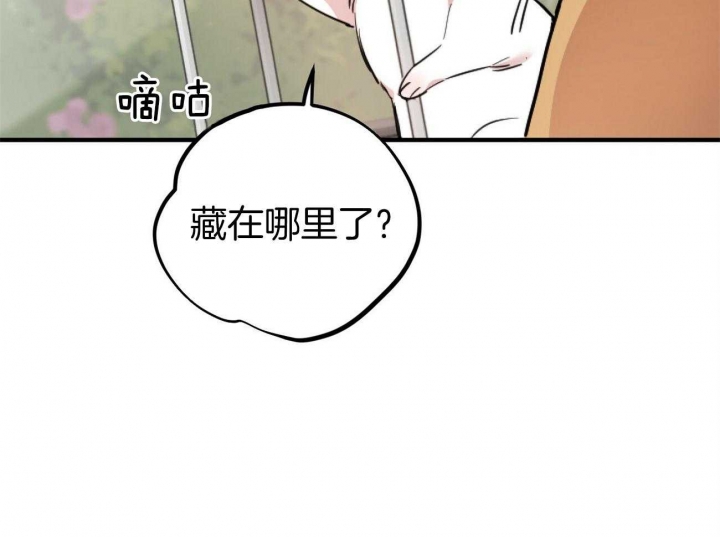 《 夏菲菲的兔子》漫画最新章节第5话免费下拉式在线观看章节第【56】张图片