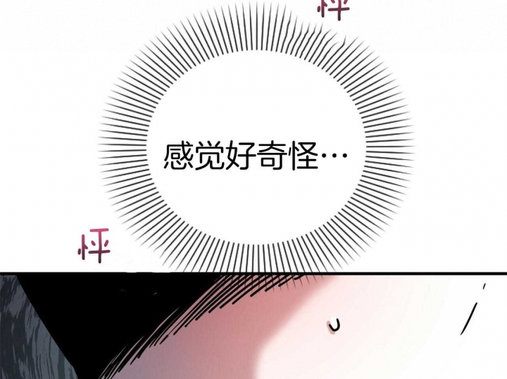 《 夏菲菲的兔子》漫画最新章节第9话免费下拉式在线观看章节第【96】张图片