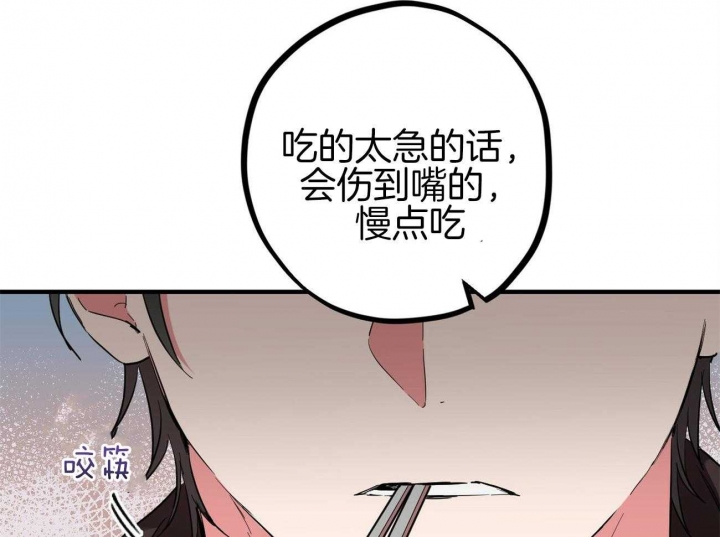 《 夏菲菲的兔子》漫画最新章节第17话免费下拉式在线观看章节第【22】张图片