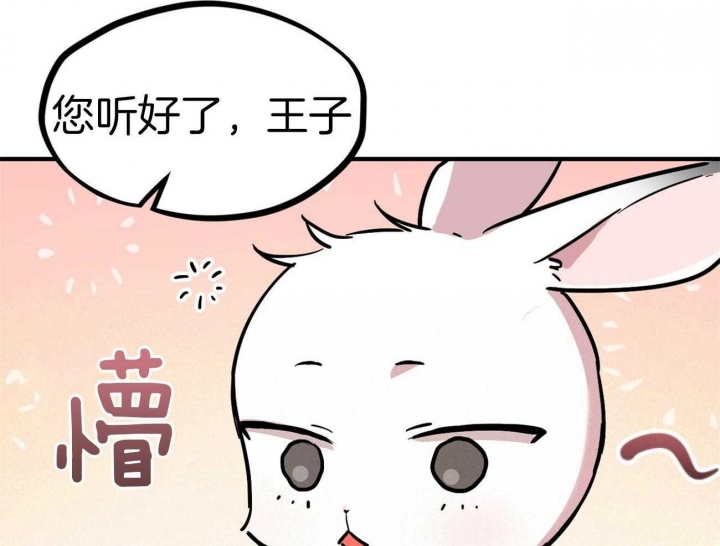 《 夏菲菲的兔子》漫画最新章节第9话免费下拉式在线观看章节第【4】张图片