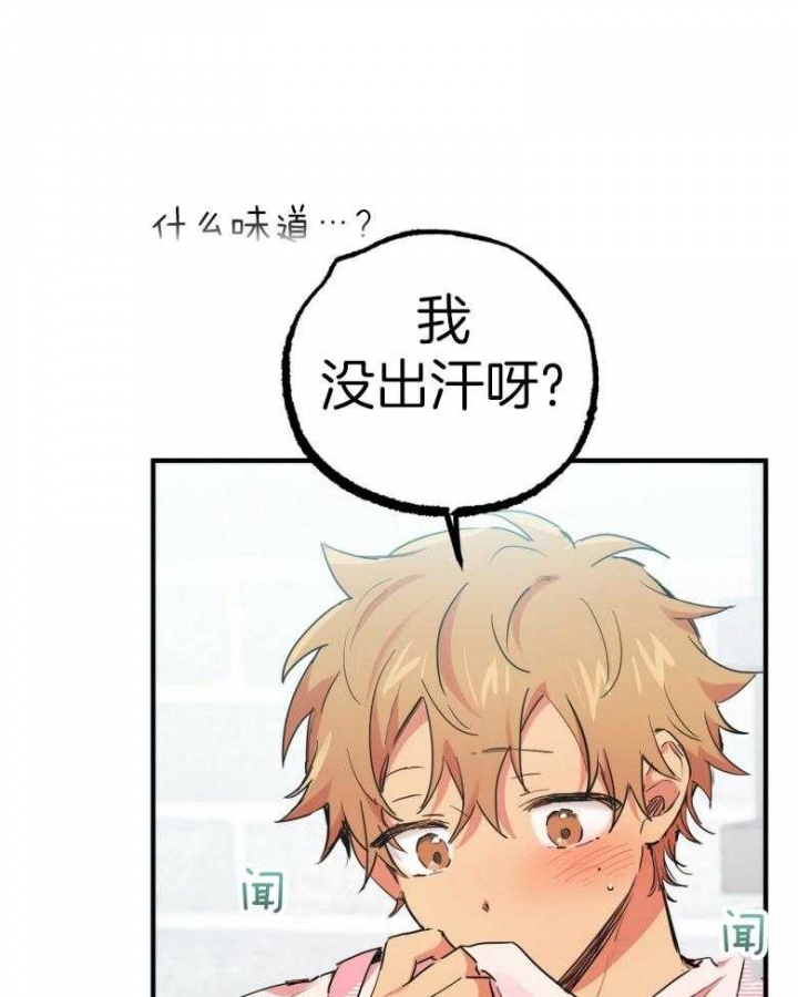 《 夏菲菲的兔子》漫画最新章节第43话免费下拉式在线观看章节第【1】张图片