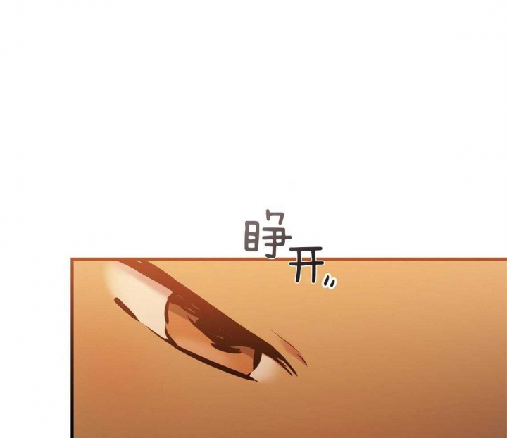 《 夏菲菲的兔子》漫画最新章节第66话免费下拉式在线观看章节第【8】张图片