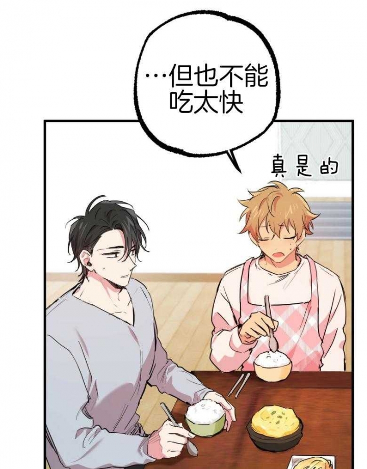 《 夏菲菲的兔子》漫画最新章节第43话免费下拉式在线观看章节第【25】张图片