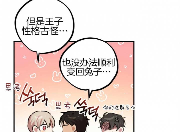 《 夏菲菲的兔子》漫画最新章节第3话免费下拉式在线观看章节第【47】张图片