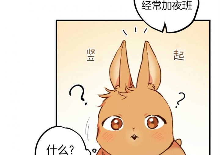 《 夏菲菲的兔子》漫画最新章节第1话免费下拉式在线观看章节第【70】张图片