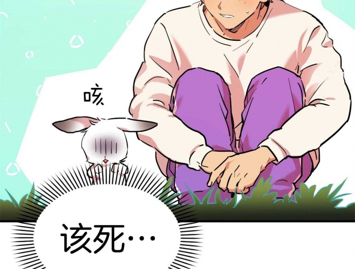 《 夏菲菲的兔子》漫画最新章节第8话免费下拉式在线观看章节第【18】张图片