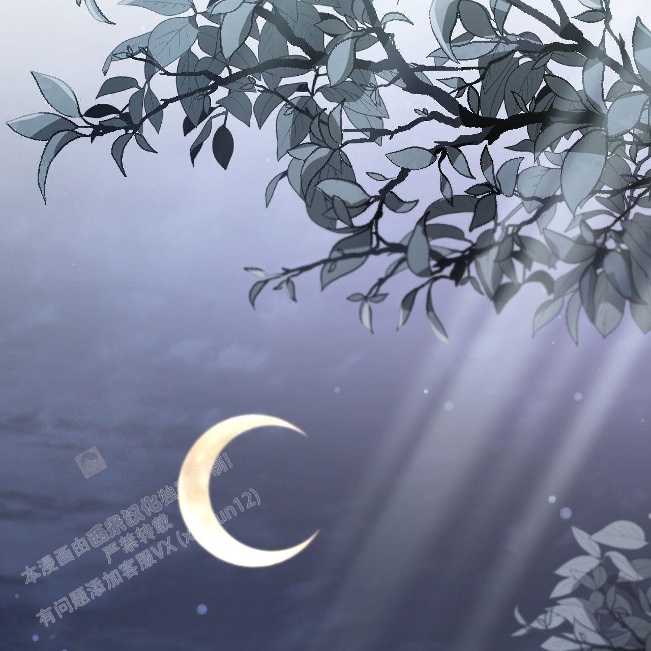 《 夏菲菲的兔子》漫画最新章节第141话免费下拉式在线观看章节第【13】张图片