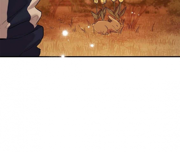《 夏菲菲的兔子》漫画最新章节第65话免费下拉式在线观看章节第【86】张图片