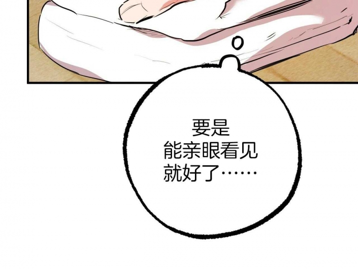 《 夏菲菲的兔子》漫画最新章节第82话免费下拉式在线观看章节第【20】张图片