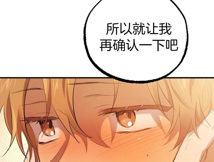 《 夏菲菲的兔子》漫画最新章节第71话免费下拉式在线观看章节第【65】张图片