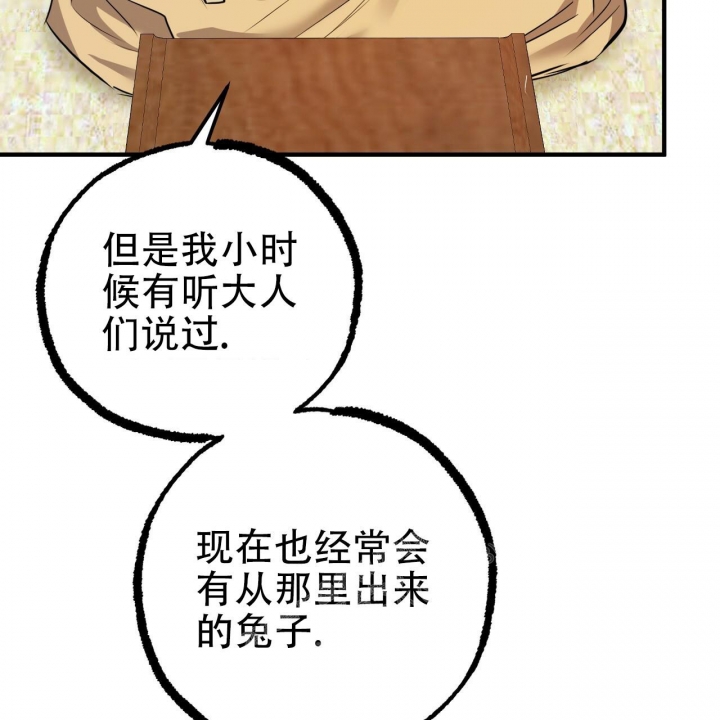 《 夏菲菲的兔子》漫画最新章节第98话免费下拉式在线观看章节第【46】张图片