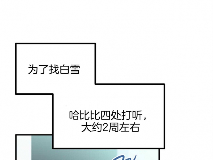 《 夏菲菲的兔子》漫画最新章节第74话免费下拉式在线观看章节第【7】张图片