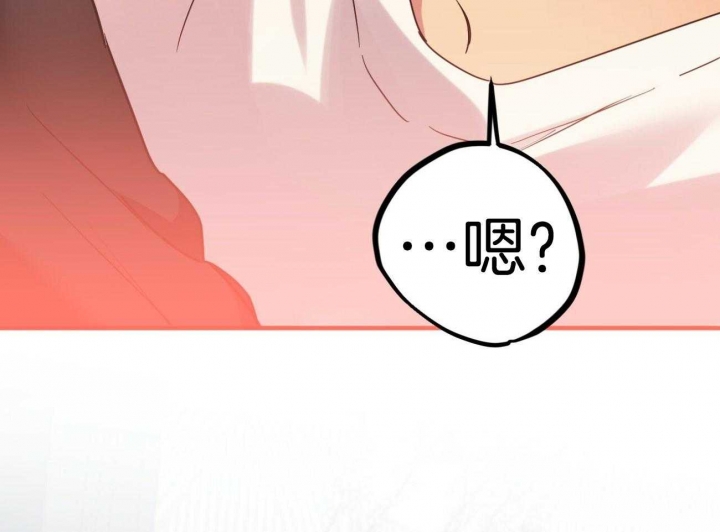 《 夏菲菲的兔子》漫画最新章节第24话免费下拉式在线观看章节第【47】张图片