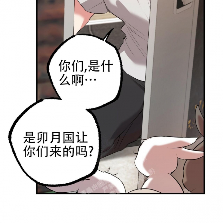 《 夏菲菲的兔子》漫画最新章节第96话免费下拉式在线观看章节第【57】张图片