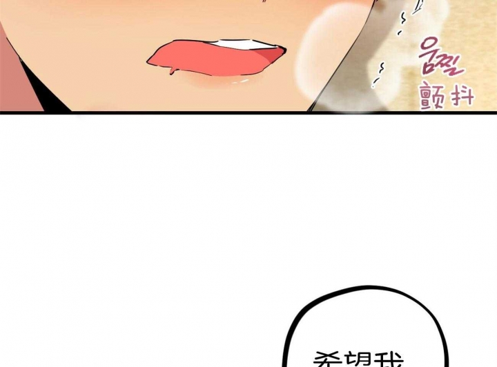 《 夏菲菲的兔子》漫画最新章节第23话免费下拉式在线观看章节第【72】张图片