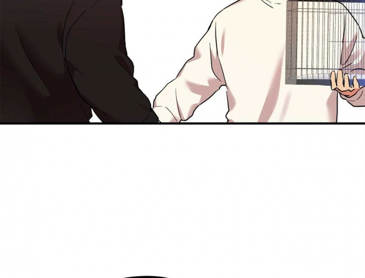 《 夏菲菲的兔子》漫画最新章节第18话免费下拉式在线观看章节第【18】张图片