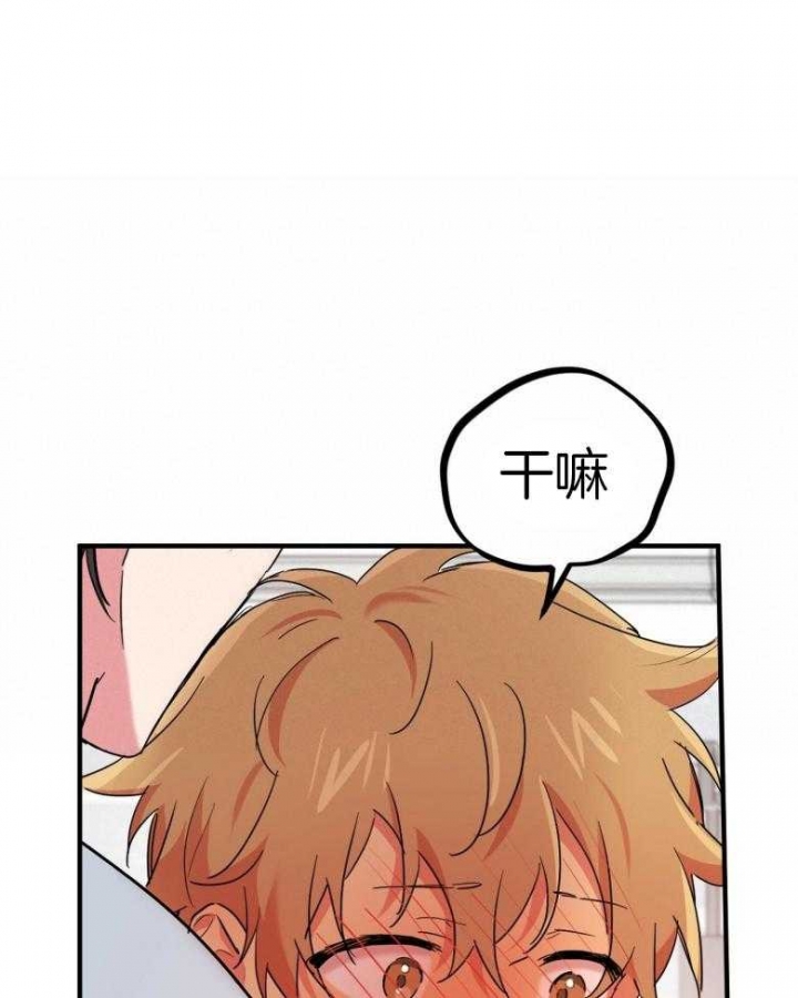 《 夏菲菲的兔子》漫画最新章节第43话免费下拉式在线观看章节第【10】张图片