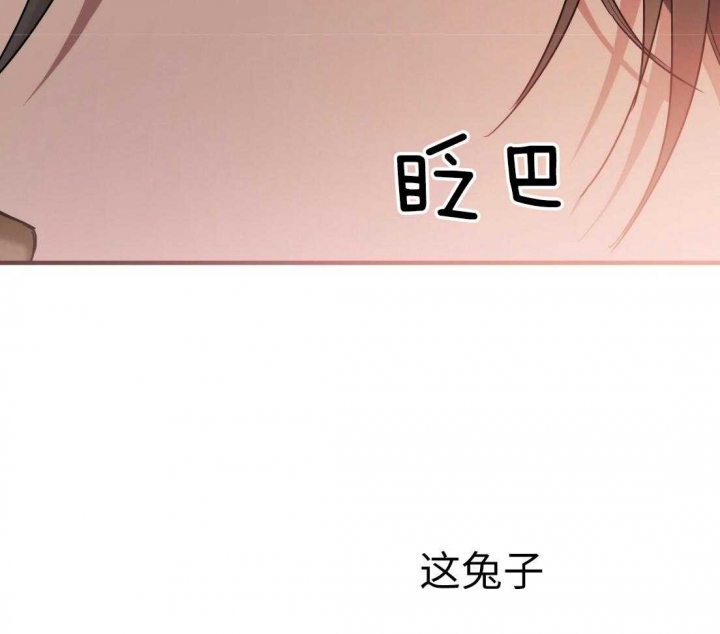 《 夏菲菲的兔子》漫画最新章节第37话免费下拉式在线观看章节第【16】张图片