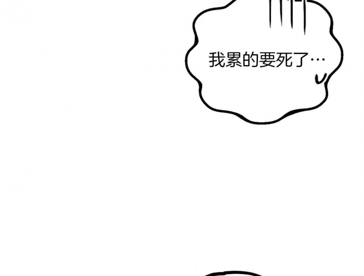 《 夏菲菲的兔子》漫画最新章节第15话免费下拉式在线观看章节第【41】张图片