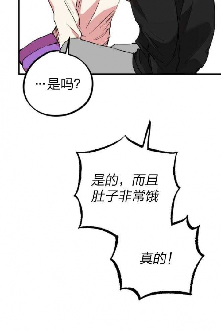 《 夏菲菲的兔子》漫画最新章节第38话免费下拉式在线观看章节第【31】张图片