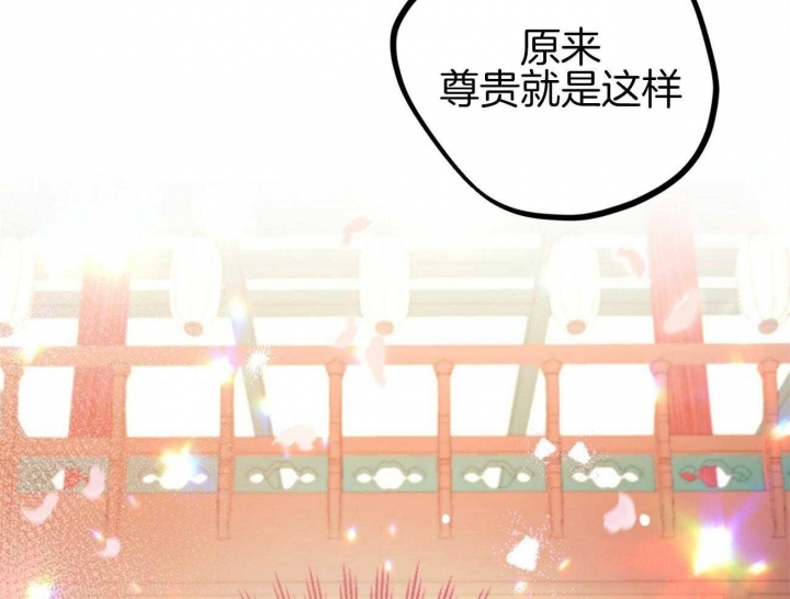 《 夏菲菲的兔子》漫画最新章节第14话免费下拉式在线观看章节第【12】张图片