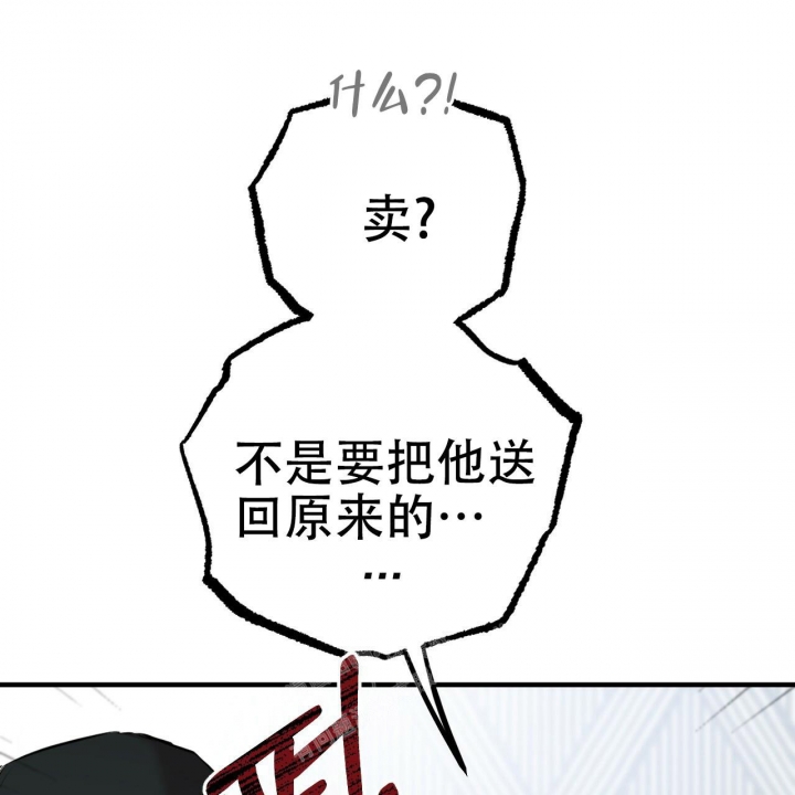 《 夏菲菲的兔子》漫画最新章节第90话免费下拉式在线观看章节第【82】张图片