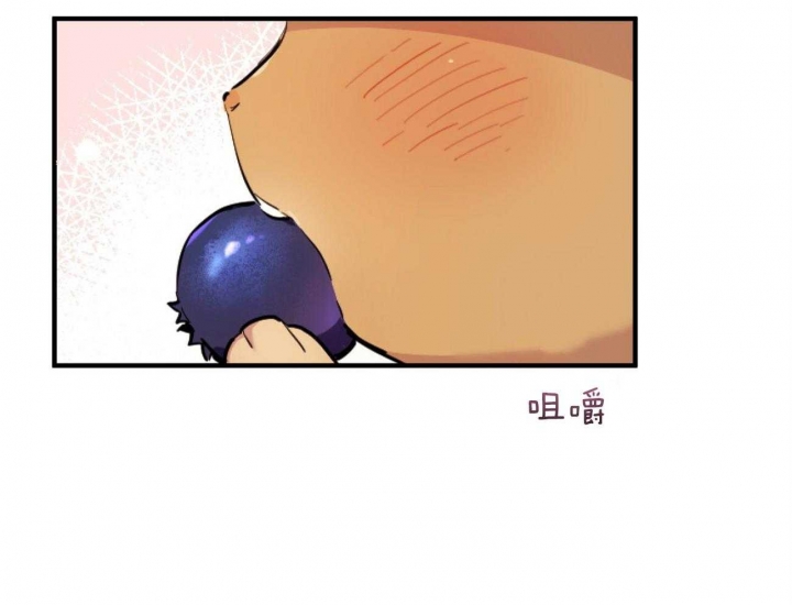 《 夏菲菲的兔子》漫画最新章节第6话免费下拉式在线观看章节第【35】张图片