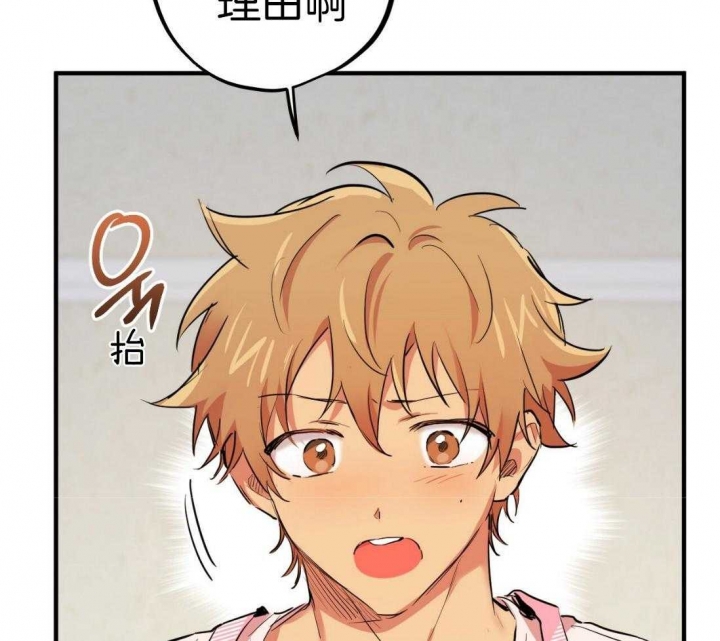 《 夏菲菲的兔子》漫画最新章节第48话免费下拉式在线观看章节第【46】张图片