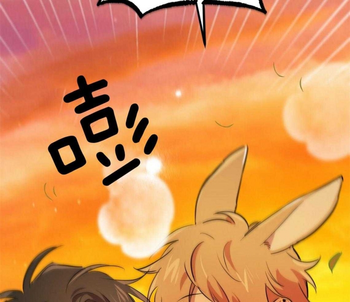 《 夏菲菲的兔子》漫画最新章节第66话免费下拉式在线观看章节第【15】张图片