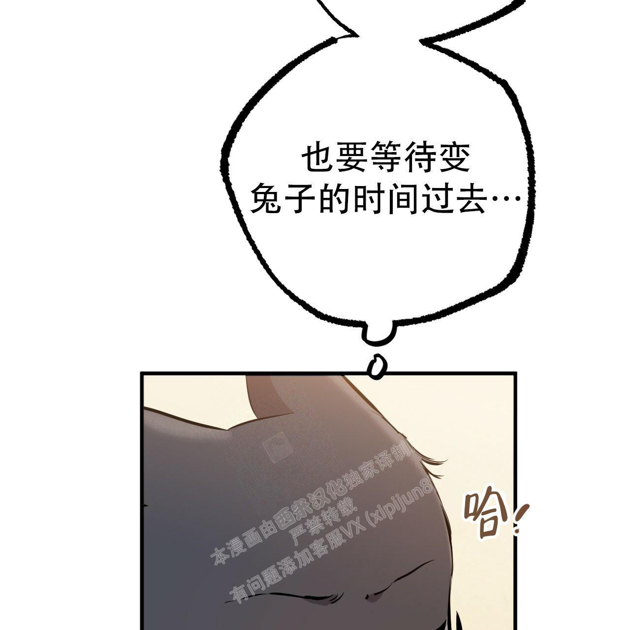 《 夏菲菲的兔子》漫画最新章节第116话免费下拉式在线观看章节第【28】张图片